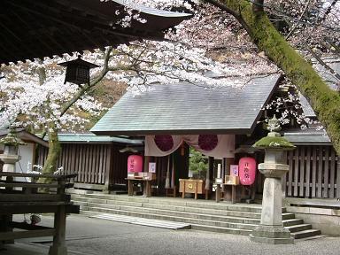 hanakae 07-004.JPG