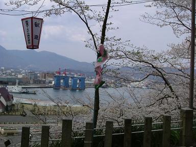 hanakae 07-005.JPG