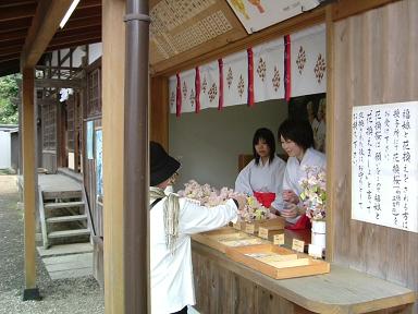 hanakae 07-006.JPG