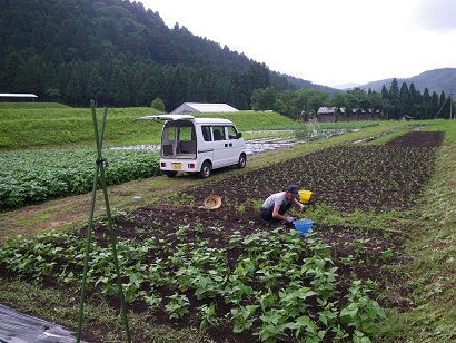 komunita 10-0612.JPG