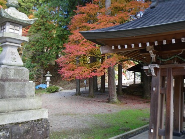 kouyou 10-1115.JPG