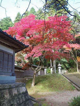 kouyou 10-1119.JPG