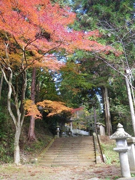 kouyou 10-1120.JPG