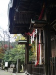 kouyou 10-1124.JPG