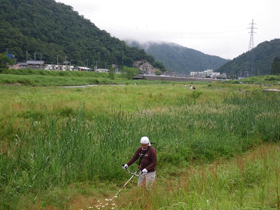kusakari 11-0602.JPG