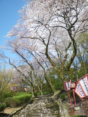nishiyama 11-0402.JPG