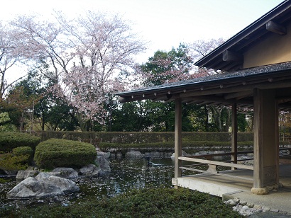 nishiyama 11-0404.JPG