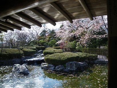 nishiyama 11-0408.JPG