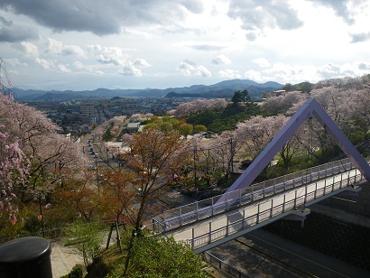 nishiyama 11-0409.JPG