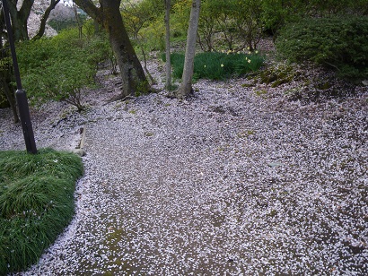 nishiyama 11-0410.JPG
