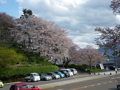 nishiyama 11-0411.JPG