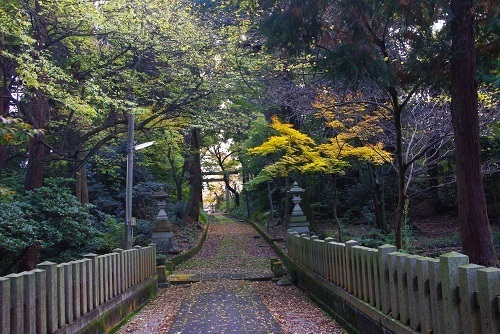 shinnmeijinnja  (10).JPG