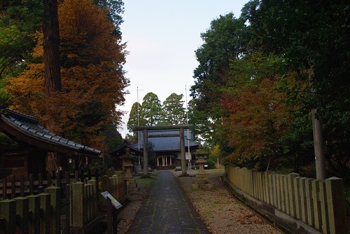 shinnmeijinnja  (11).JPG