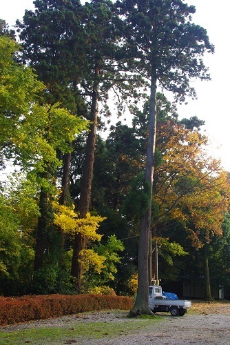 shinnmeijinnja  (5).JPG