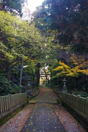 shinnmeijinnja  (9).JPG