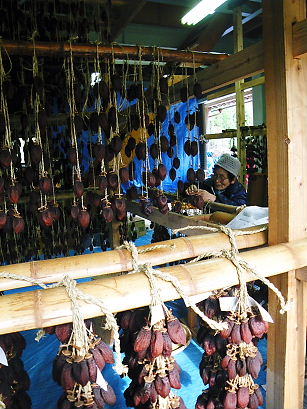 turusigaki 09-1208.JPG