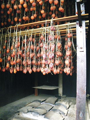 turusigaki 09-1211.JPG
