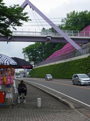tutuji 09-005.JPG