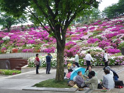 tutuji 09-009.JPG