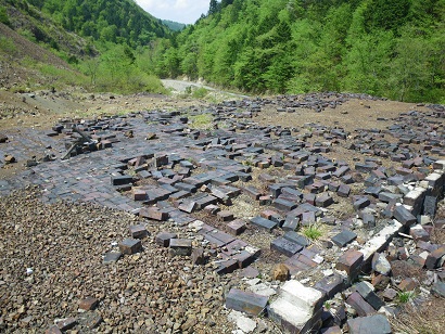 omodani 11-0509.JPG
